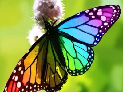 More About Me: My Writing&nbsp;Journey