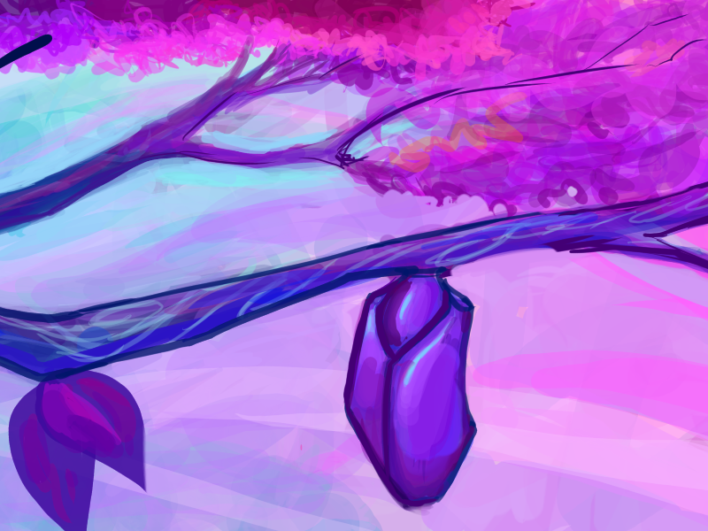 Wrapping Up A Year I Thought Would Never&nbsp;End