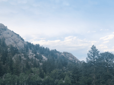 What Do Your Dreams Tell&nbsp;You?