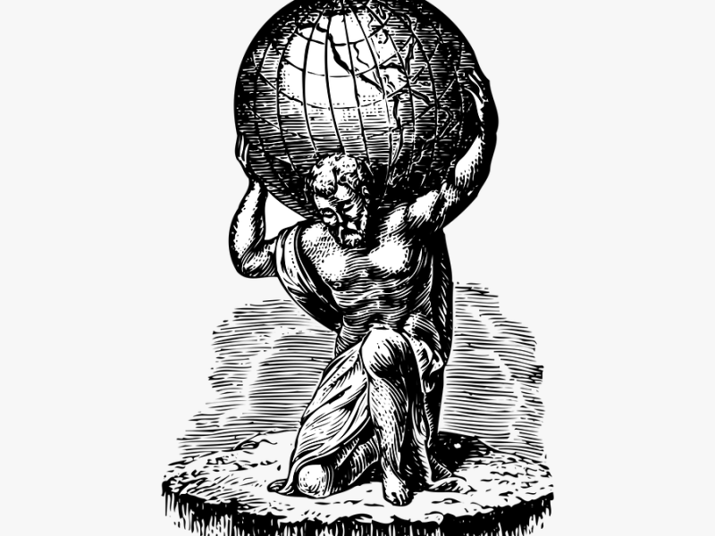 Dear Loyalist by Amanda&nbsp;Roswick