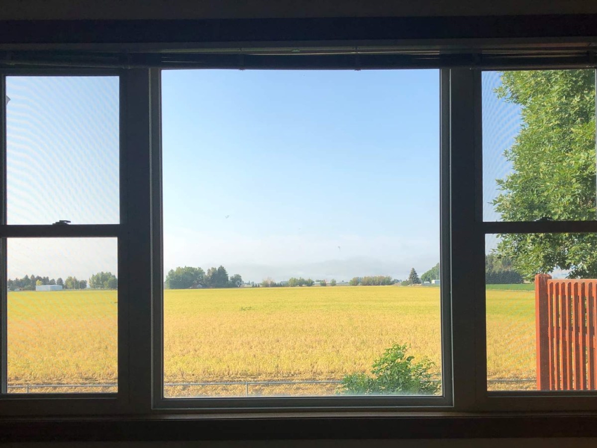 August Update: Finding Peace Amidst the&nbsp;Chaos